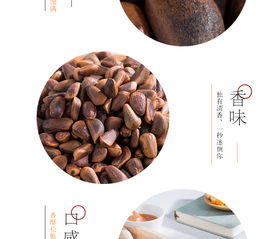 新昊森林松籽 黑龍江特產(chǎn)的天然饋贈(zèng)