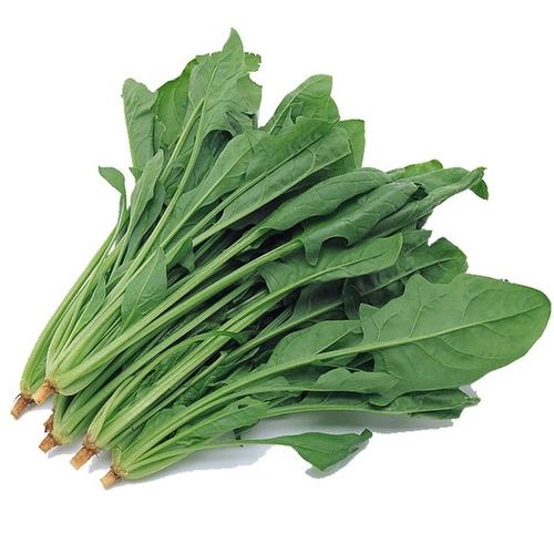 品味任丘 特色小吃與農(nóng)副土特產(chǎn)的魅力