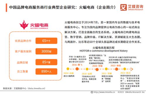 艾媒咨詢 2023年中國品牌電商服務(wù)商行業(yè)研究報告