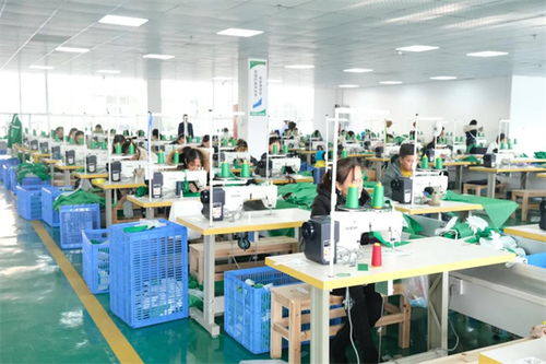 引來服裝鞋業加工廠 群眾家門口好就業