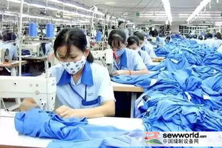 原料價(jià)格漲漲漲 服裝企業(yè) 雙11 近在眼前怎么辦